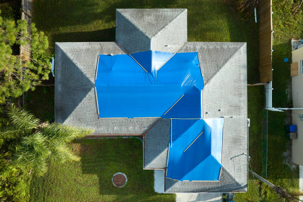 Best Metal Roofing Installation  in Mount Clemens, MI